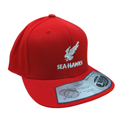 Hat 22 Snapback Os Seahawks