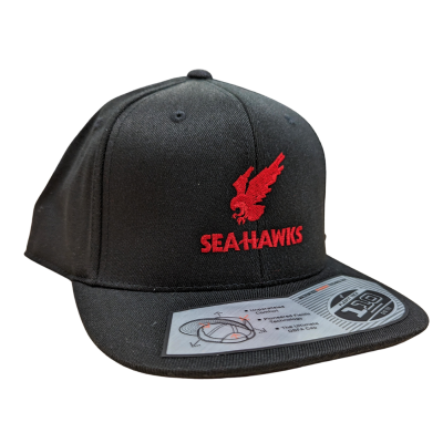 Hat 22 Snapback Os Seahawks