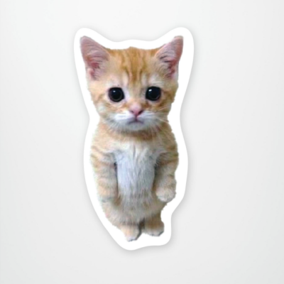 Sticker 24 Standing Kitty Meme